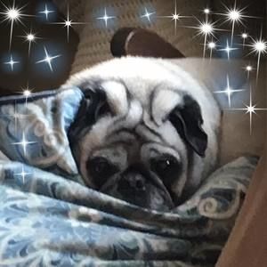 Meet your Posher, Kari